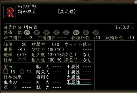syo2.JPG